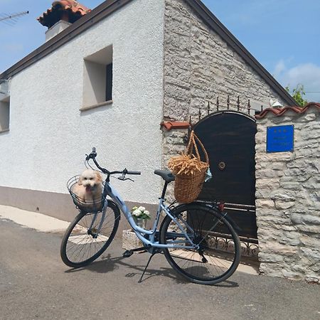 Authentic Istria&Pet Friendly Apartment Banko Near Rovinj กานฟานาร์ ภายนอก รูปภาพ
