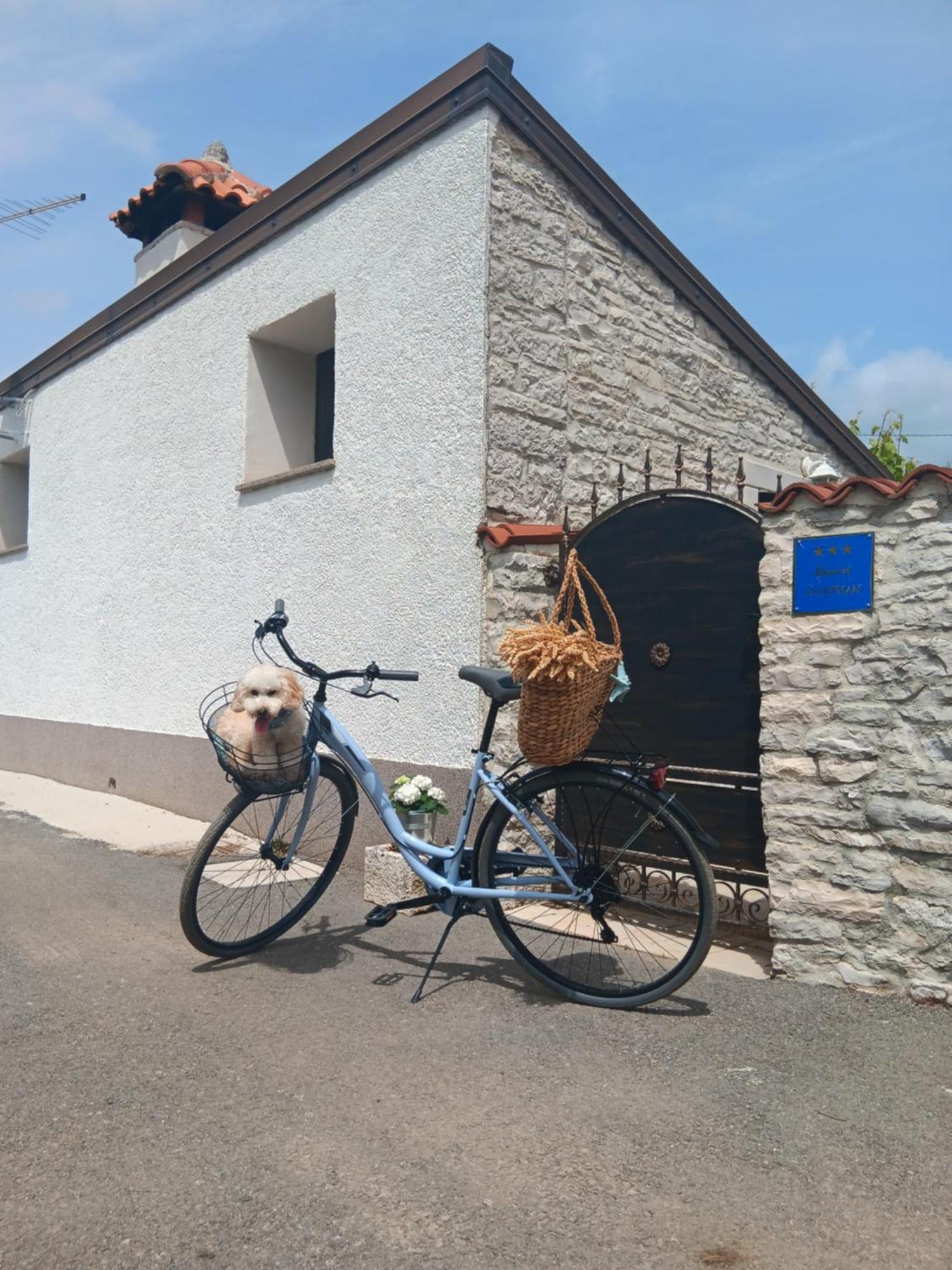 Authentic Istria&Pet Friendly Apartment Banko Near Rovinj กานฟานาร์ ภายนอก รูปภาพ