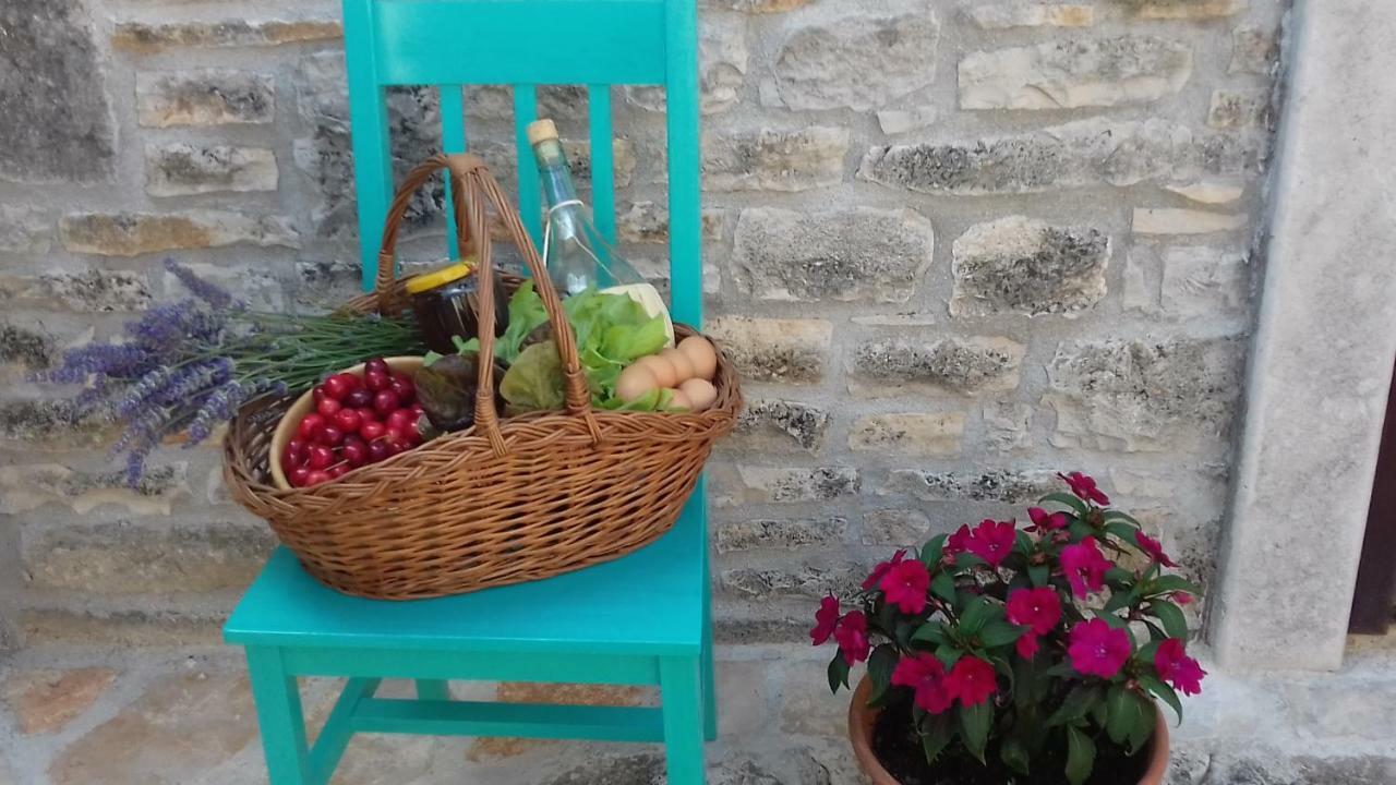 Authentic Istria&Pet Friendly Apartment Banko Near Rovinj กานฟานาร์ ภายนอก รูปภาพ