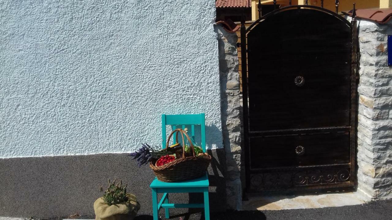 Authentic Istria&Pet Friendly Apartment Banko Near Rovinj กานฟานาร์ ภายนอก รูปภาพ